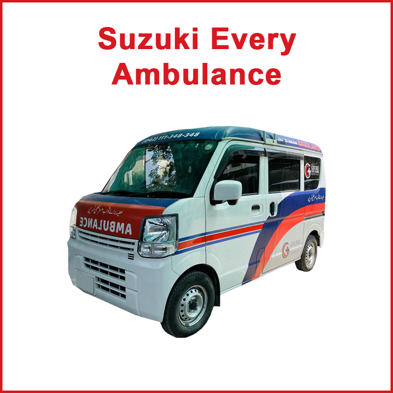 suzuki-every
